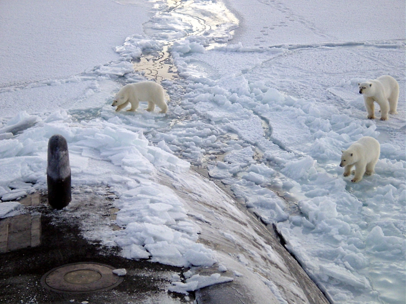 Chiny ogłosiły wizję „Polarnego Jedwabnego Szlaku” przez Arktykę - GospodarkaMorska.pl