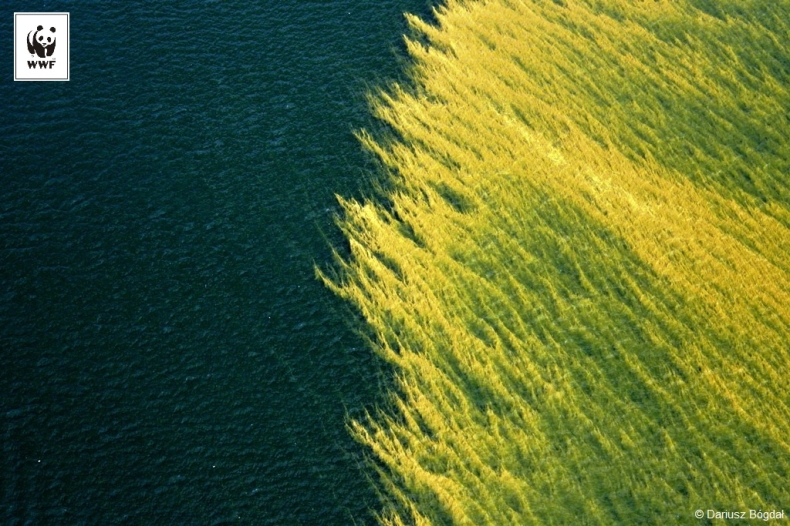 WWF Polska i Centrum Doradztwa Rolniczego razem dla ochrony Morza Bałtyckiego - GospodarkaMorska.pl