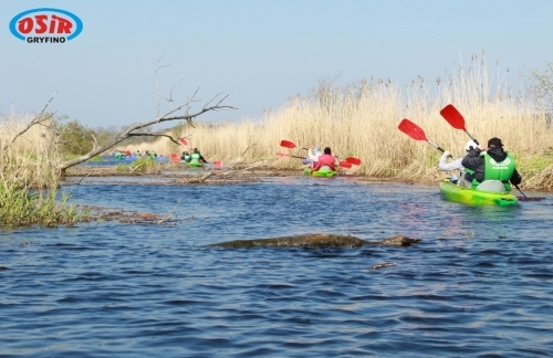 Wycieczka kajakiem po Międzyodrzu - GospodarkaMorska.pl