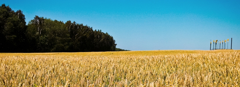 Hermes Energy Group: Ceny gazu mogą rosnąć z powodu inwestycji - GospodarkaMorska.pl