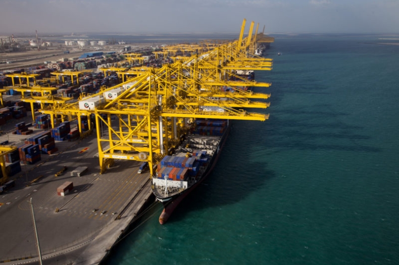 Poprzedni rok rekordowym pod względem przeładunku kontenerów w terminalach DP World - GospodarkaMorska.pl