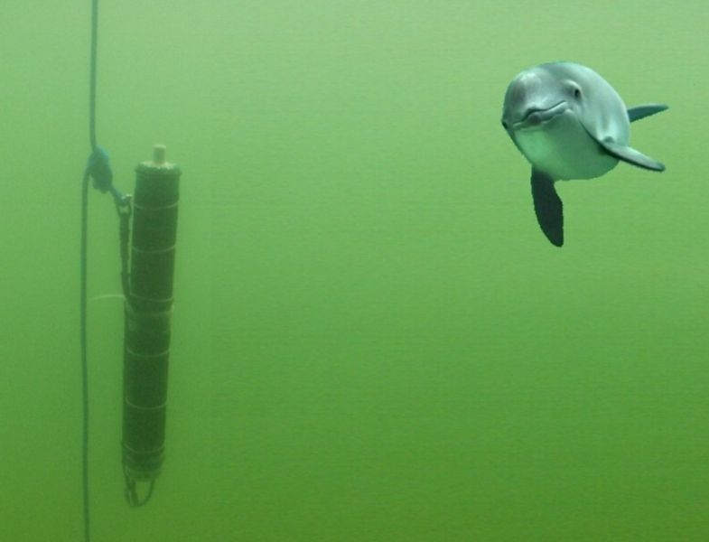 Projekt SAMBAH wśród najlepszych - GospodarkaMorska.pl