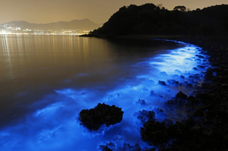 Ochrona danych osobowych– ważny komunikat Komisji Europejskiej - GospodarkaMorska.pl