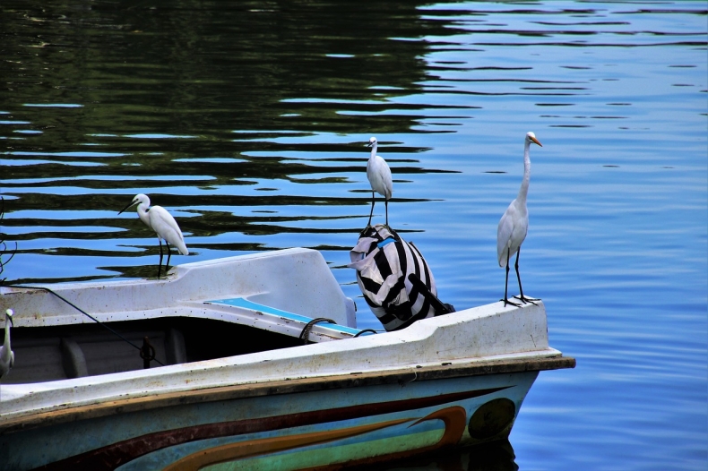 Śląskie Centrum Wody chce wspierać gospodarowanie wodami w regionie - GospodarkaMorska.pl