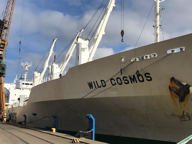 Olbrzymi transport polskiego mrożonego drobiu i wieprzowiny z Gdyni do Kongo (foto) - GospodarkaMorska.pl