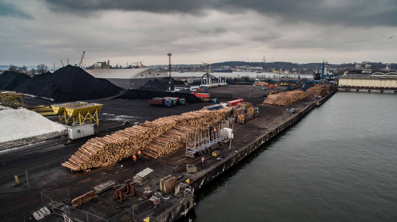 Ponad 170 tys. t drewna przeładowano już w gdyńskim porcie w tym roku. Wiatrołomy płyną m.in do Niemiec (foto, wideo) - GospodarkaMorska.pl