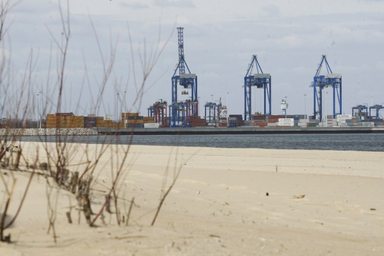 Plaża Stogi a DCT Gdańsk - oświadczenie - GospodarkaMorska.pl