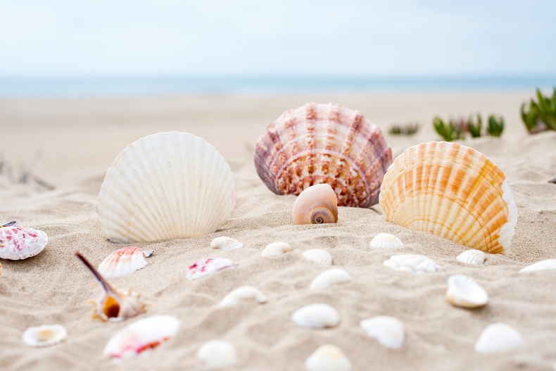 Włochy: 93 gramy piasku wynosi średnio każdy plażowicz po dniu nad morzem - GospodarkaMorska.pl