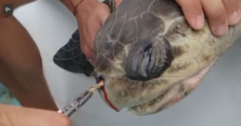 W. Brytania: Rząd planuje zakaz sprzedaży plastikowych słomek i patyczków do uszu (wideo) - GospodarkaMorska.pl