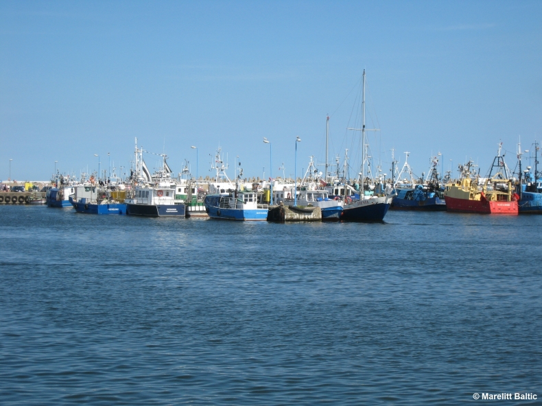 Porty bałtyckie nie mają wystarczających możliwości w zakresie odbioru sieci-widm - GospodarkaMorska.pl