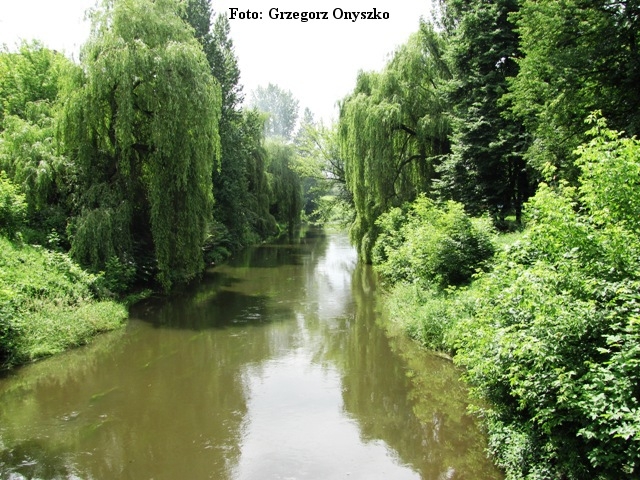 Śląskie: 68 mln zł na inwestycje środowiskowe przy rzekach i potokach - GospodarkaMorska.pl