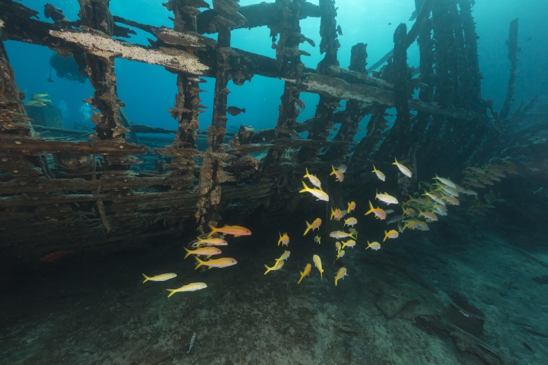 Zwyczajowo niezwyczajni - felieton Marka Błusia - GospodarkaMorska.pl