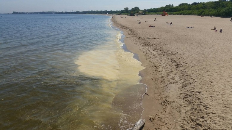 Pomorski Sanepid: woda w Zatoce Gdańskiej prawdopodobnie zdatna do kąpieli - GospodarkaMorska.pl