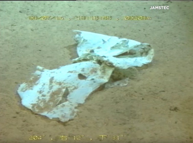 Plastikowa torebka na dnie Rowu Mariańskiego. Śmieci dotarły nawet tam (wideo) - GospodarkaMorska.pl