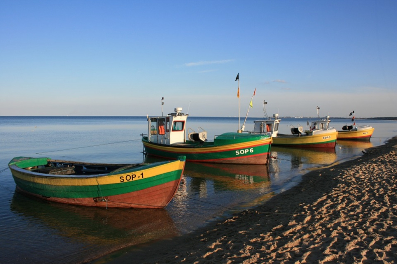 Konferencja o stanie zasobów ryb i środowisku Morza Bałtyckiego - GospodarkaMorska.pl