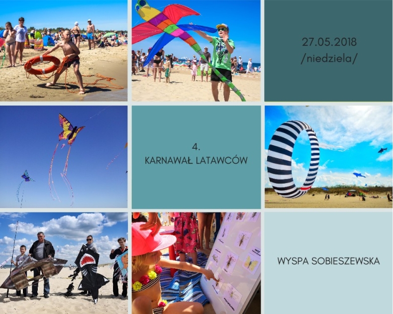 Latawce opanowały Wyspę Sobieszewską - GospodarkaMorska.pl