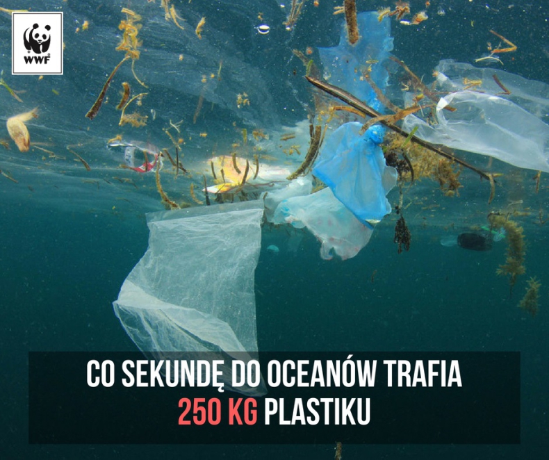 WWF popiera projekt Komisji Europejskiej dotyczący tworzyw sztucznych - GospodarkaMorska.pl