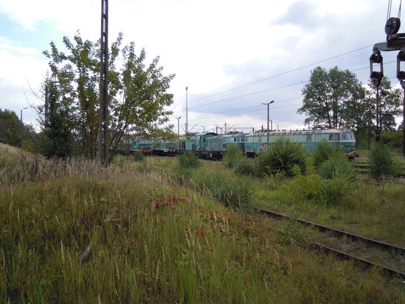 PKP PLK usprawni dojazd pociągów towarowych do terminala Łódź-Olechów - GospodarkaMorska.pl