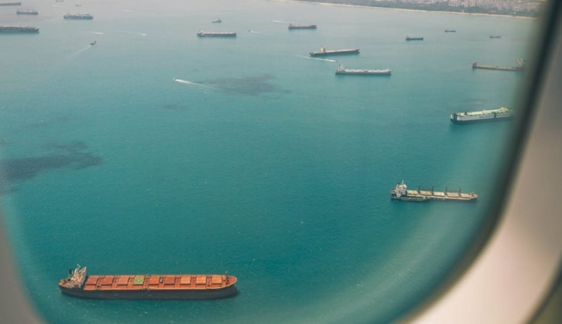 Rynek żeglugi chce wprowadzenia stoczni plażowych na listę zaaprobowanych stoczni złomujących Unii Europejskiej - GospodarkaMorska.pl