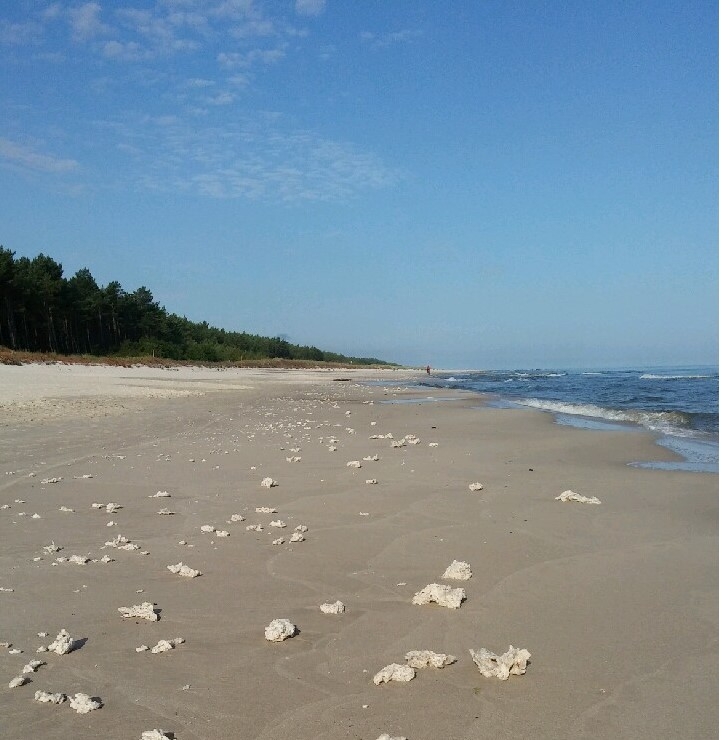 Informacja dotycząca zanieczyszczenia brzegu morskiego parafiną - GospodarkaMorska.pl