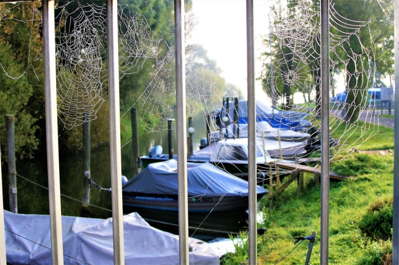 Wody Polskie: Na Mazurach plaga nielegalnych pomostów i grodzenie dostępu do jezior - GospodarkaMorska.pl