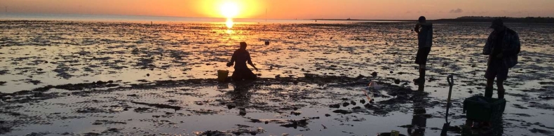 W Anglii morze odsłoniło wrak statku. Ma prawie 500 lat (foto) - GospodarkaMorska.pl