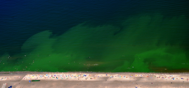 Pomorskie: Wiele plaż zamkniętych z powodu sinic - GospodarkaMorska.pl