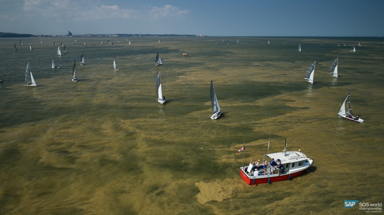 Oceanograf: sinice bywają toksyczne, ale nie są dla ludzi jednoznacznie złymi organizmami - GospodarkaMorska.pl