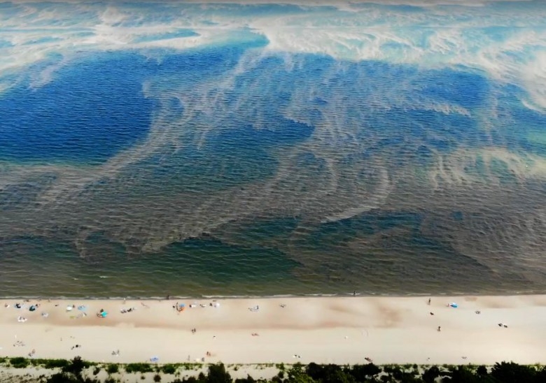 Prawie wszystkie trójmiejskie plaże zamknięte z powodu sinic - GospodarkaMorska.pl