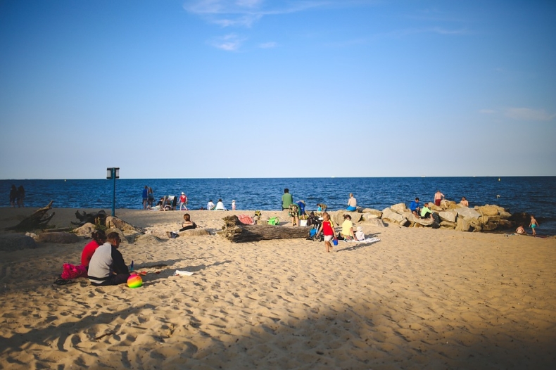 Gdynia bez sinic - GospodarkaMorska.pl