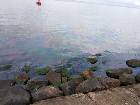 Ropopochodna substancja w Gdyni Śródmieściu to olej opałowy - GospodarkaMorska.pl