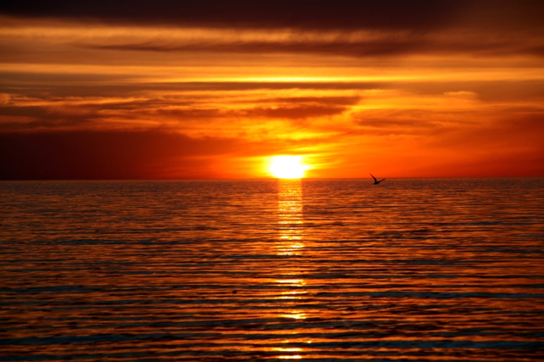 Rosja/ Ekspert o konwencji ws. Morza Kaspijskiego: gra się nie skończyła - GospodarkaMorska.pl