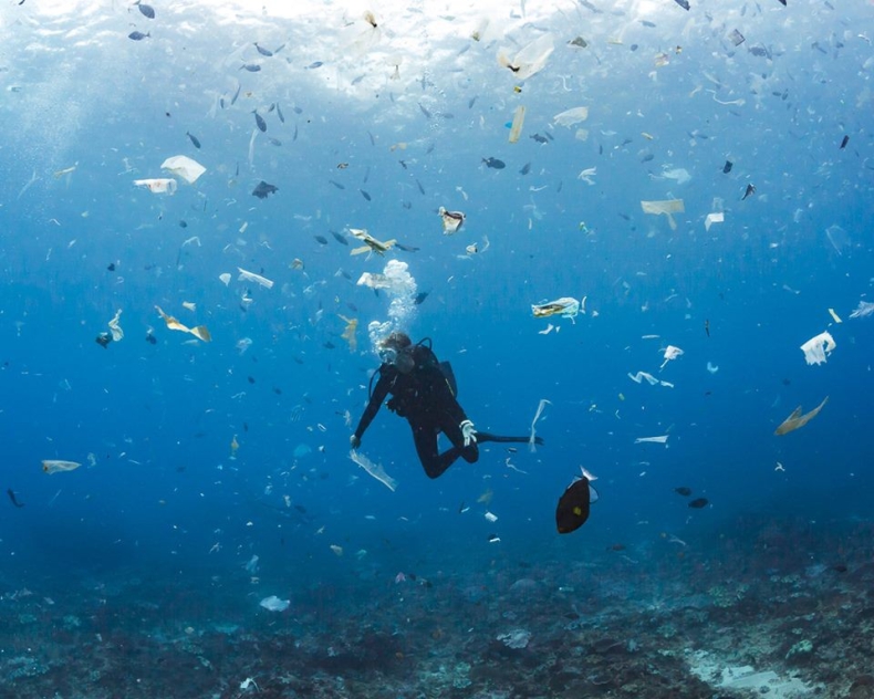 Do 2050 roku w oceanach będzie już więcej plastiku niż ryb. W walkę z zanieczyszczeniem włącza się duży biznes - GospodarkaMorska.pl