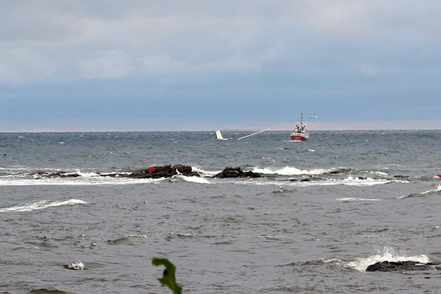 W pobliżu Bornholmu zatonął jacht z polską załogą - GospodarkaMorska.pl