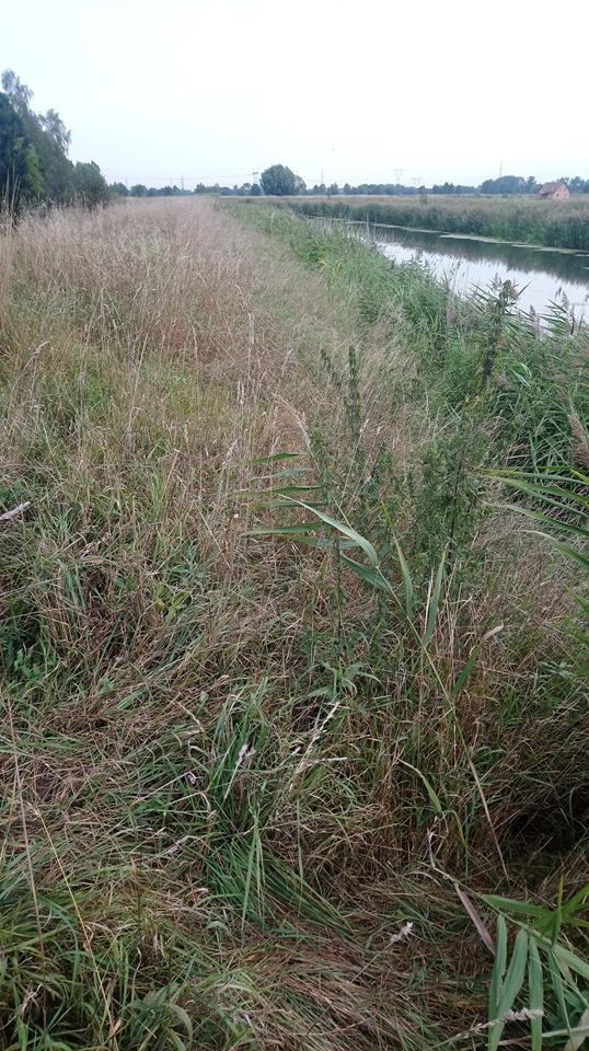 Rolnicy i samorządowcy apelują, ale „z Warszawy nie widać Żuław” - GospodarkaMorska.pl