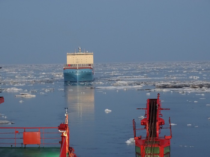 Venta Maersk zakończył przełomową podróż przez Arktykę - GospodarkaMorska.pl