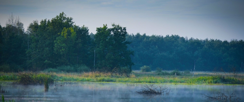 Ograniczenie zanieczyszczenia azotem pochodzenia rolniczego metodą poprawy jakości wód – konferencja - GospodarkaMorska.pl