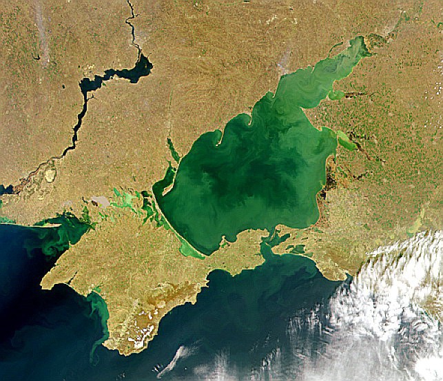 Kreml: działania Rosji na Morzu Azowskim są zgodne z prawem - GospodarkaMorska.pl