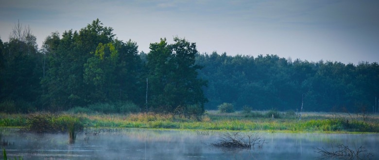 Wydłużony termin stosowania nawozów zgodnie z Programem azotanowym - GospodarkaMorska.pl