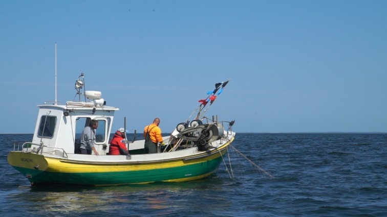 Prezydent podpisał nowelizację ustawy o rybołówstwie morskim - GospodarkaMorska.pl