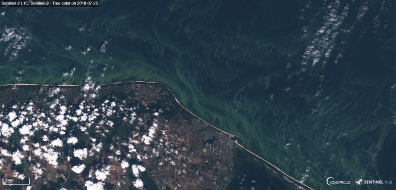 Nowe usługi oparte na danych z kosmosu pomogą w problemach z klimatem? - GospodarkaMorska.pl