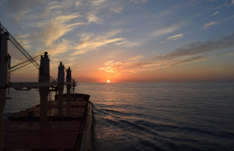 Bałtycki Indeks Towarowy ze sporym świątecznym spadkiem - GospodarkaMorska.pl