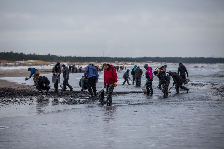 Bursztynowa gorączka na Wyspie Sobieszewskiej. Tłum poławiaczy na plaży - GospodarkaMorska.pl