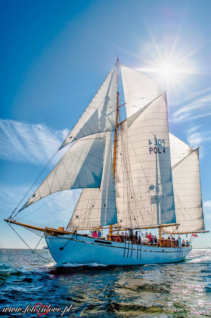 Rejs żaglowcem STS Zaruski i praca malarska orangutanicy na aukcji WOŚP w Gdańsku. To tylko niektóre atrakcje - GospodarkaMorska.pl