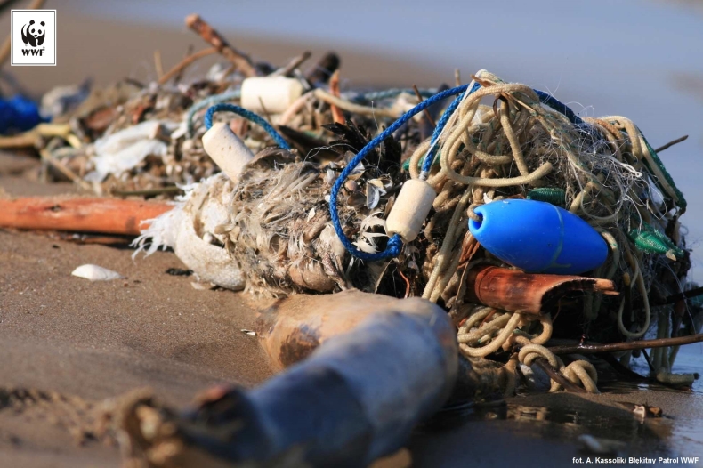 Morze oddaje jedynie to, co do niego wrzucimy... - GospodarkaMorska.pl