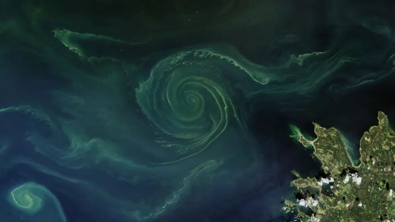 Do końca XXI w., połowa oceanów zmieni kolor - GospodarkaMorska.pl