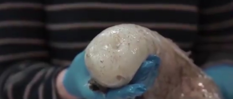 Zobacz, co kryje się 5 km pod powierzchnią oceanu (wideo) - GospodarkaMorska.pl