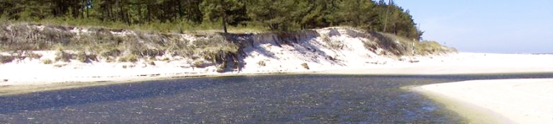 Rozbudowa systemu monitoringu powodziowego w Gdańsku - GospodarkaMorska.pl