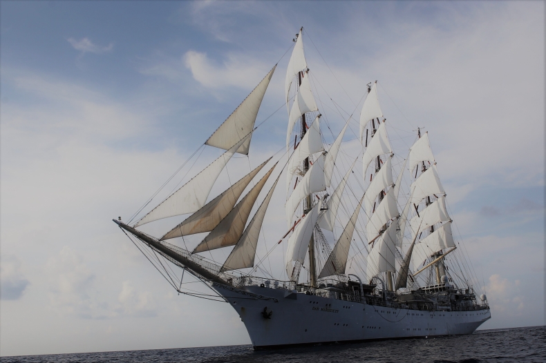 Fundacja LOTOS na pokładzie Daru Młodzieży - GospodarkaMorska.pl