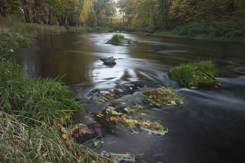 Wyraźmy sprzeciw wobec niszczenia rzek i jezior - GospodarkaMorska.pl